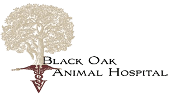 <span>Black Oak Animal Hospital</span>
logo