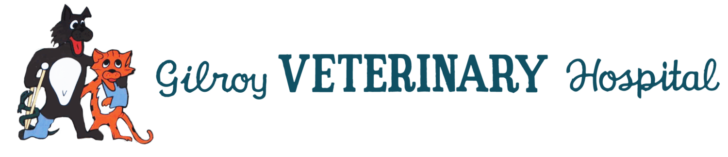 <span>Gilroy Veterinary Hospital</span>
logo