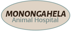 <span>Monongahela Animal Hospital</span>
logo