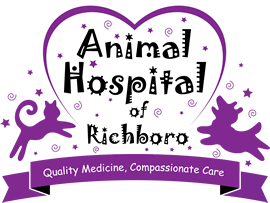 <span>Animal Hospital of Richboro</span>
logo