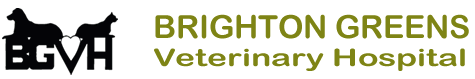 

<!-- THEME DEBUG -->
<!-- THEME HOOK: 'field' -->
<!-- FILE NAME SUGGESTIONS:
   * field--node--title--listing.html.twig
   x field--node--title.html.twig
   * field--node--listing.html.twig
   * field--title.html.twig
   * field--string.html.twig
   * field.html.twig
-->
<!-- BEGIN OUTPUT from 'core/themes/stable/templates/field/field--node--title.html.twig' -->
<span>Brighton Greens Veterinary Hospital</span>

<!-- END OUTPUT from 'core/themes/stable/templates/field/field--node--title.html.twig' -->

 logo