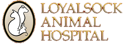 <span>Loyalsock Animal Hospital Inc</span>
logo