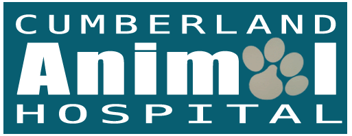 <span>Cumberland Animal Hospital</span>
logo