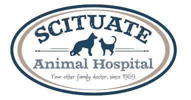 <span>Scituate Animal Hospital Inc</span>
logo