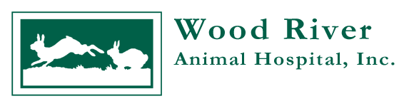 <span>Wood River Animal Hospital</span>
logo