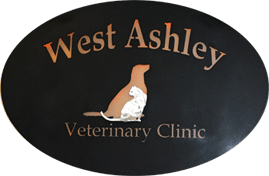 <span>West Ashley Veterinary Clinic</span>
logo