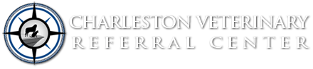 <span>Charleston Veterinary Referral Center</span>
logo