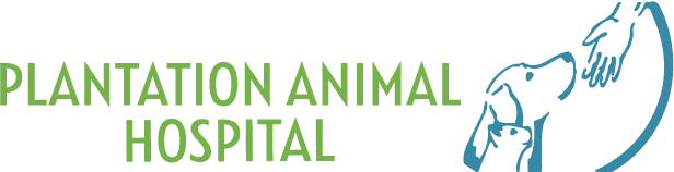 <span>Plantation Animal Hospital LLC</span>
logo