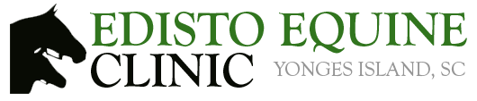 <span>Edisto Equine Clinic</span>
logo