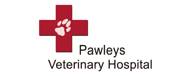 <span>Pawleys Veterinary Hospital</span>
logo