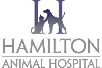 <span>Hamilton Animal Hospital</span>
 logo