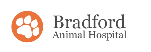 <span>Bradford Animal Hospital</span>
logo