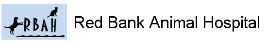 <span>Red Bank Animal Hospital</span>
logo
