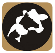 <span>Animal House Veterinary Clinic</span>
logo