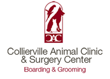 <span>Collierville Animal Clinic PC</span>
logo