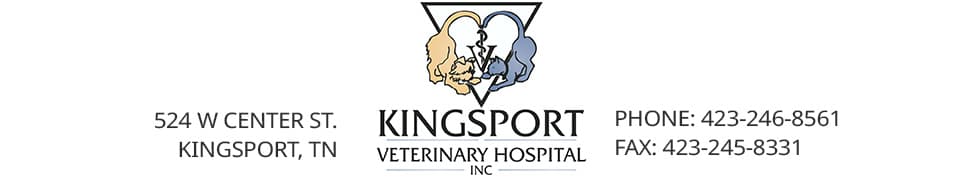 <span>Kingsport Veterinary Hospital</span>
logo