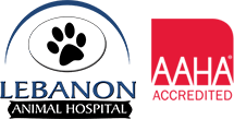 <span>Lebanon Animal Hospital</span>
logo