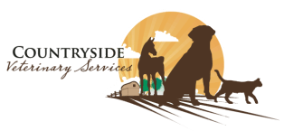 <span>Countryside Veterinary Service</span>
logo