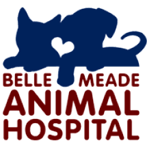 <span>Belle Meade Animal Hospital</span>
logo
