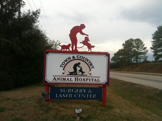 <span>Town & Country Animal Hospital</span>
logo