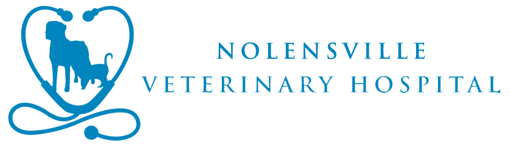 <span>Nolensville Rec Center</span>
logo
