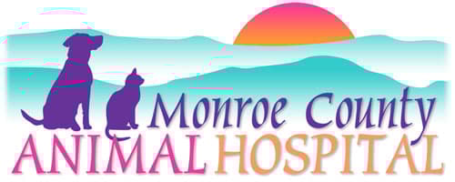 <span>Monroe County Animal Hospital</span>
logo