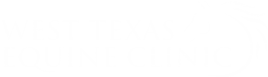 <span>West Texas Equine Clinic</span>
logo