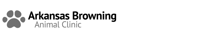 

<!-- THEME DEBUG -->
<!-- THEME HOOK: 'field' -->
<!-- FILE NAME SUGGESTIONS:
   * field--node--title--listing.html.twig
   x field--node--title.html.twig
   * field--node--listing.html.twig
   * field--title.html.twig
   * field--string.html.twig
   * field.html.twig
-->
<!-- BEGIN OUTPUT from 'core/themes/stable/templates/field/field--node--title.html.twig' -->
<span>Arkansas Browning Animal Clinic</span>

<!-- END OUTPUT from 'core/themes/stable/templates/field/field--node--title.html.twig' -->

 logo