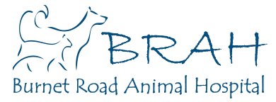 

<!-- THEME DEBUG -->
<!-- THEME HOOK: 'field' -->
<!-- FILE NAME SUGGESTIONS:
   * field--node--title--listing.html.twig
   x field--node--title.html.twig
   * field--node--listing.html.twig
   * field--title.html.twig
   * field--string.html.twig
   * field.html.twig
-->
<!-- BEGIN OUTPUT from 'core/themes/stable/templates/field/field--node--title.html.twig' -->
<span>Burnet Road Animal Hospital</span>

<!-- END OUTPUT from 'core/themes/stable/templates/field/field--node--title.html.twig' -->

 logo