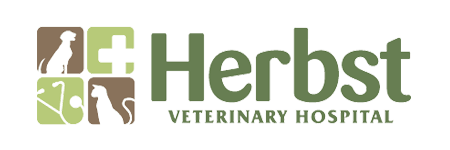 <span>Herbst Verterinary Hospital</span>
logo