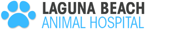 <span>Laguna Beach Animal Hospital</span>
logo