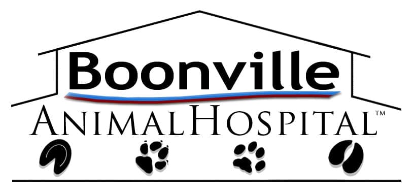 <span>Boonville Animal Hospital</span>
logo