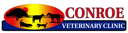 <span>Conroe Veterinary Clinic</span>
logo