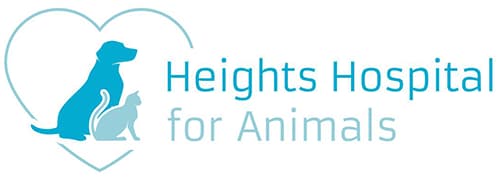 <span>Heights Hospital For Animals</span>
logo
