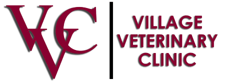 <span>Village Vet Clinic</span>
logo