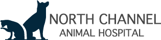 <span>North Channel Animal Hospital</span>
logo