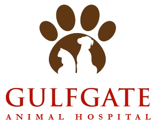 <span>Gulfgate Animal Hospital</span>
logo