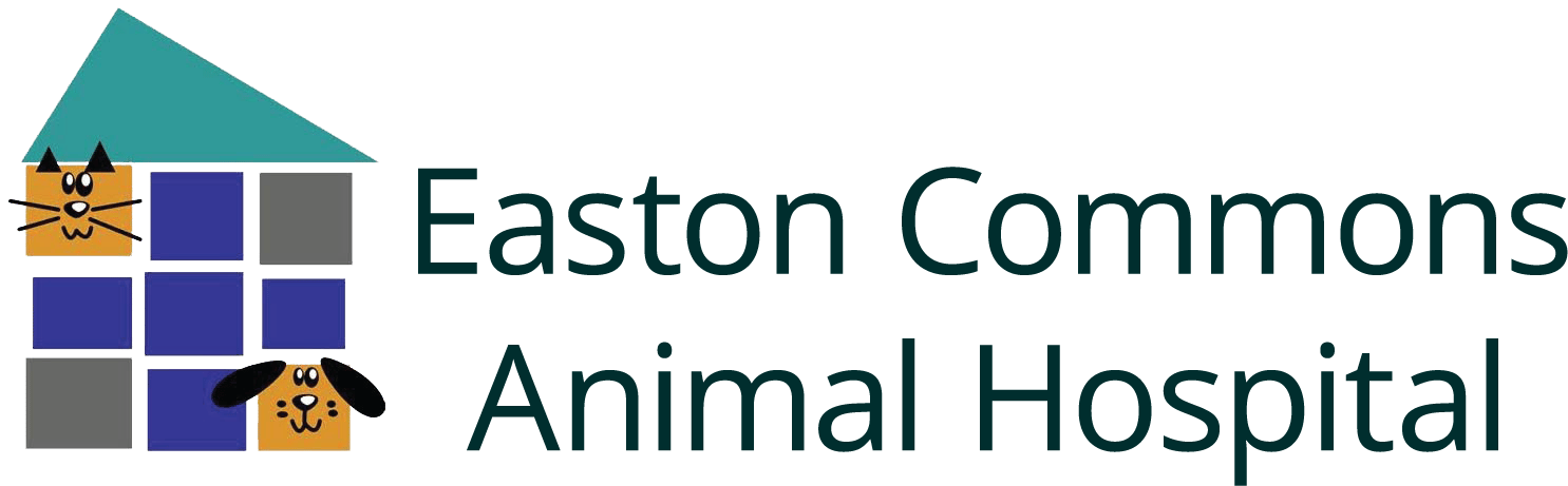 <span>Easton Commons Animal Hospital</span>
logo