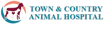 <span>Town & Country Animal Hospital</span>
logo
