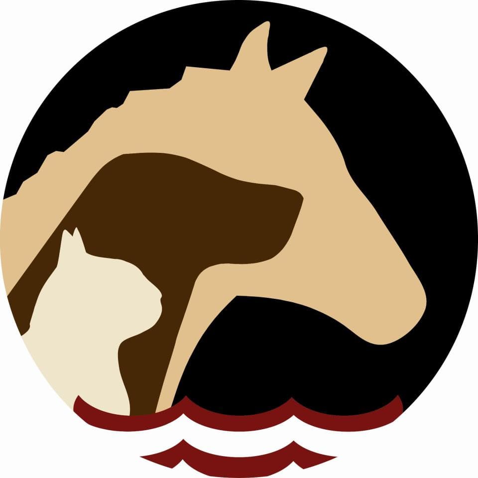 <span>Lakeshore Animal Clinic</span>
logo