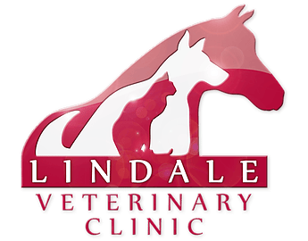 <span>Lindale Veterinary Clinic</span>
logo