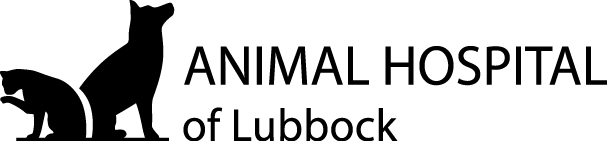 <span>Animal Hospital of Lubbock</span>
logo