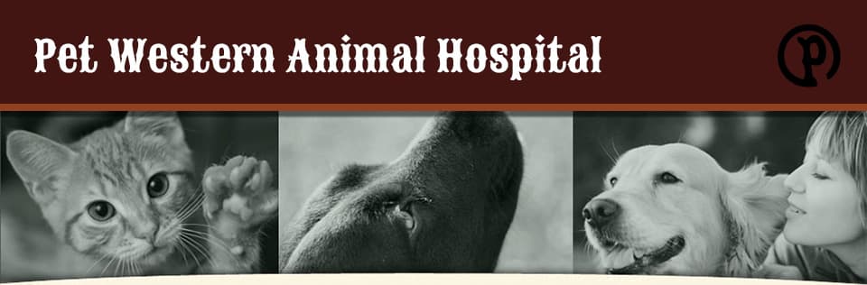 <span>Pet Western Animal Hospital</span>
logo