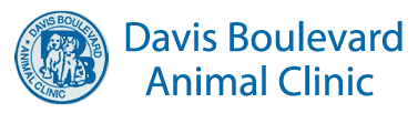 <span>Davis Boulevard Animal Clinic</span>
logo