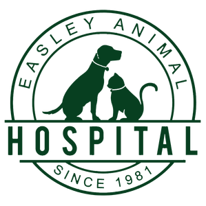 <span>Easley Animal Hospital</span>
logo