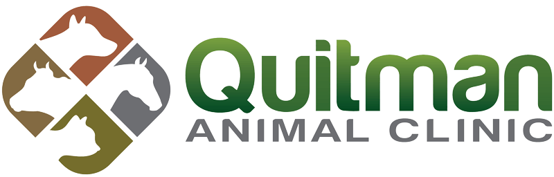 <span>Quitman Animal Clinic</span>
 logo