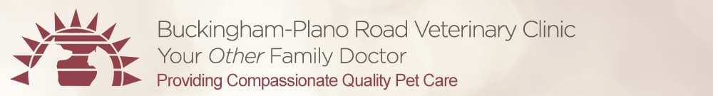 <span>Buckingham Plano Road Veterinary Clinic</span>
logo