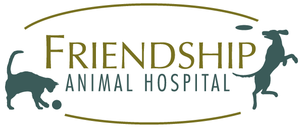 <span>Friendship Animal Hospital</span>
logo