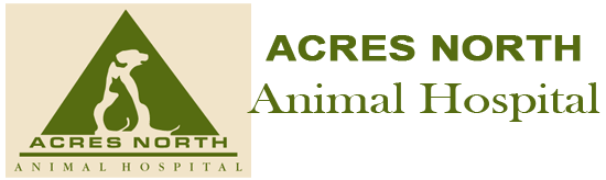 <span>Acres North Animal Hospital</span>
logo