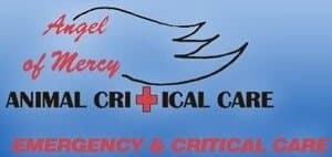 <span>Angel of Mercy Animal Critical Care</span>
logo